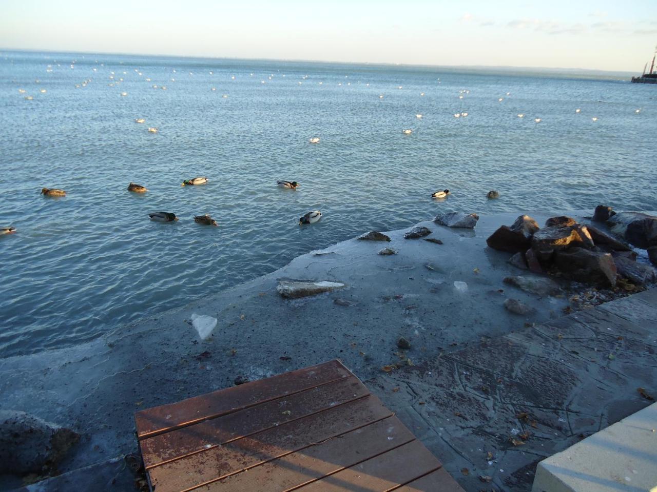 Kék Lagúna Vendégház Balatonfüred Esterno foto