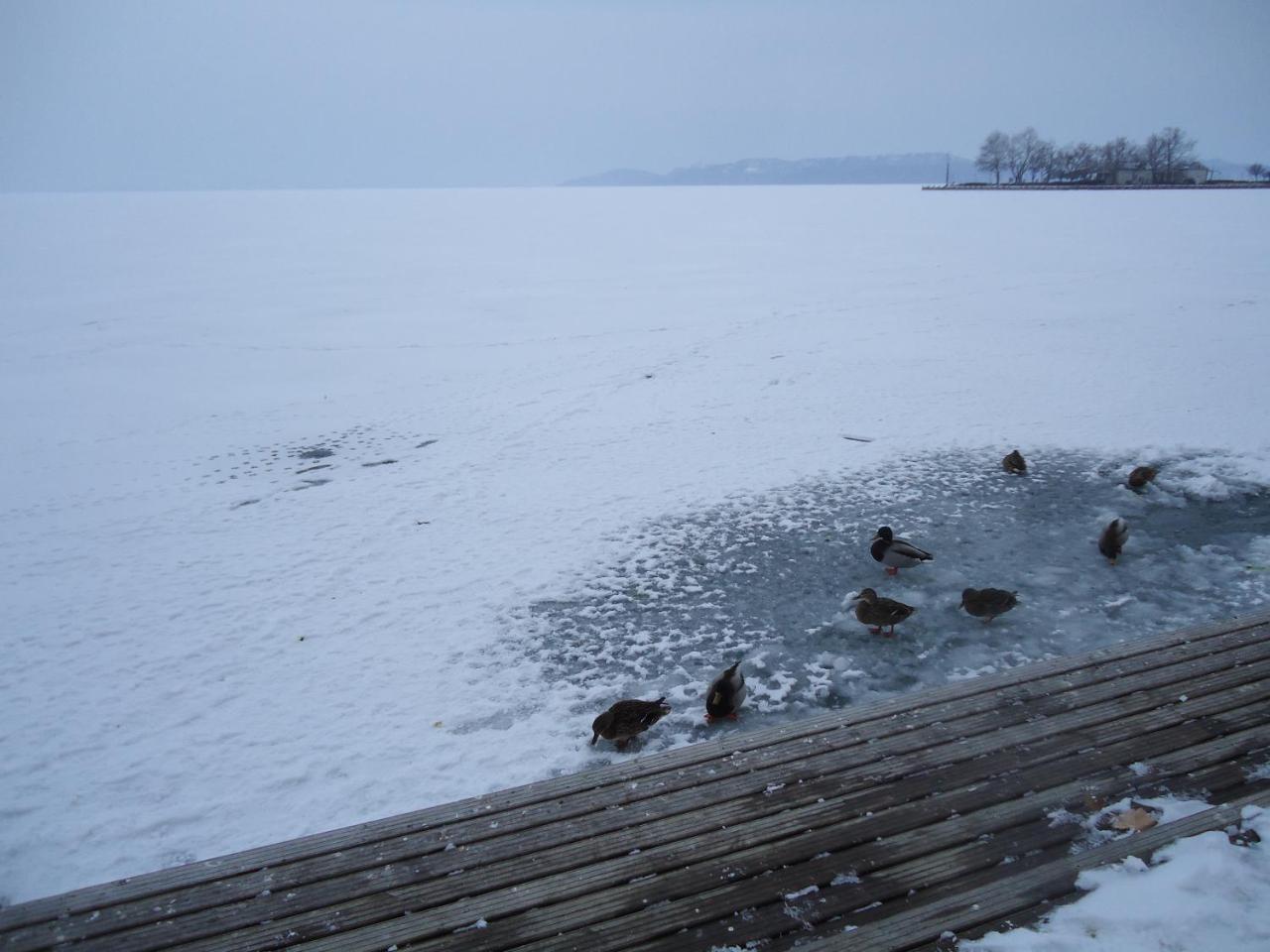 Kék Lagúna Vendégház Balatonfüred Esterno foto